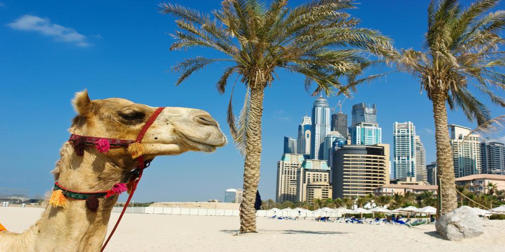 Ladbrokes May Still be Fined for Silencing the Victims of the Dubai Based Gambling-addicted Fraudster