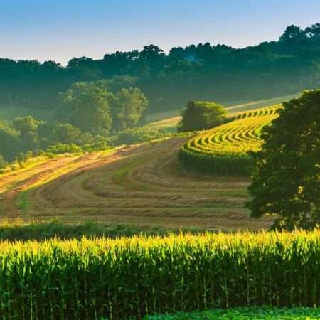 Pennsylvania Shuts Casinos Down Again